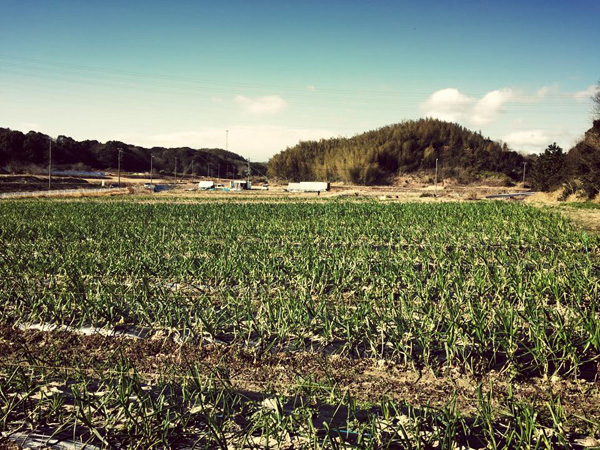 太田農園
